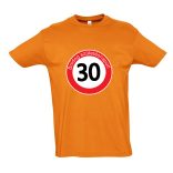 Születésnapi Póló (többféle színben)